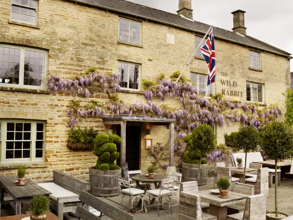 The Wild Rabbit