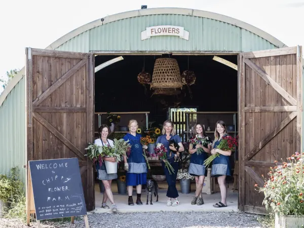 Chippy Flower Farm
