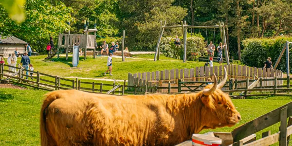 Cotswold Farm Park