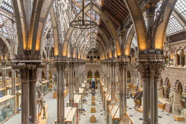 Oxford University Museum of Natural History