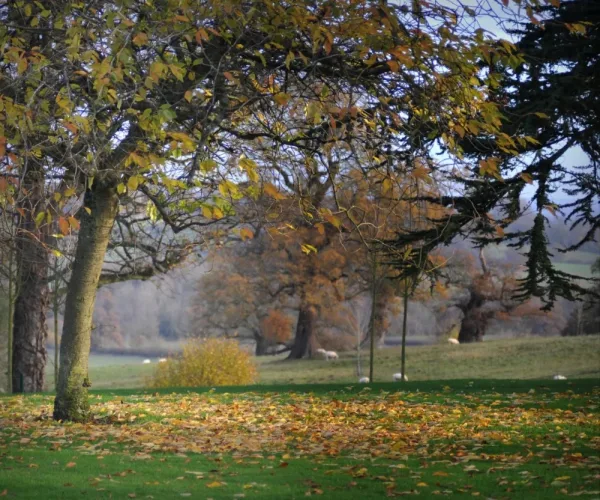 The Great Tew Estate