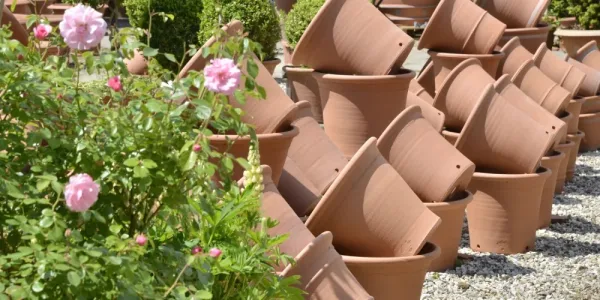 Whichford Pottery