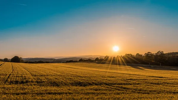 Daylesford Organic Harvest Festival