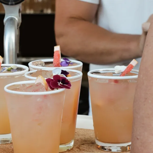 Live From The Potting Shed — Summer Sessions