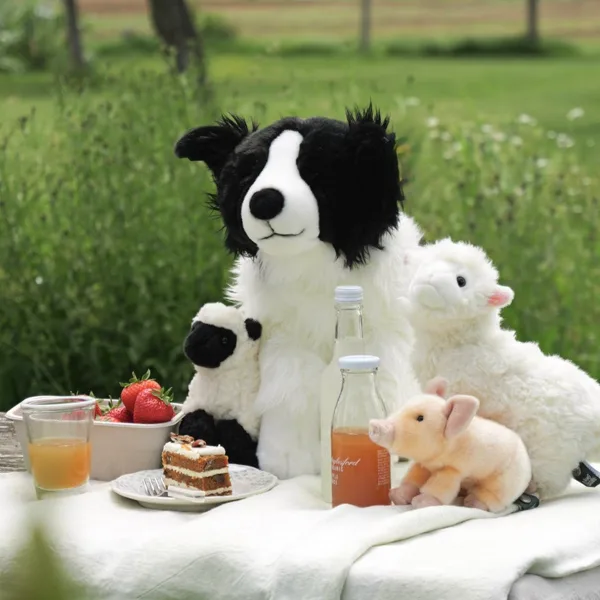 Teddy Bear Picnic — Daylesford