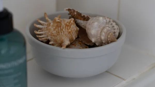 A bowl of seashells on the bathroom shelf