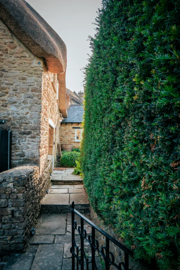 The side path between the cottage stone wall and a tall yew hedge, flagstones and iron railing