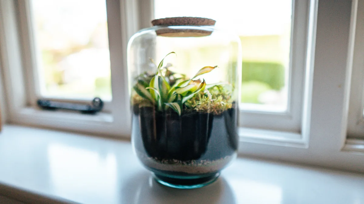 The corked terrarium jar on the pale painted windowsill, its reflection on the sill and the leaded cottage window behind