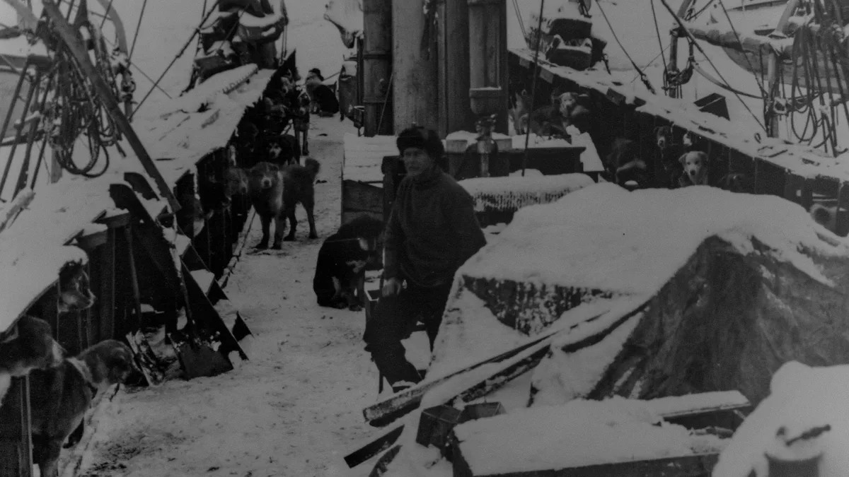 A vintage black-and-white expedition photograph of a snow-covered ship's deck lined with sledge dogs